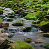 Dunnfield Creek often slows to a trickle in late summer