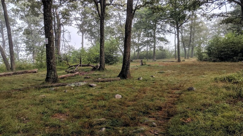 Morning near the backpacker campsite just south of Sunfish Pond