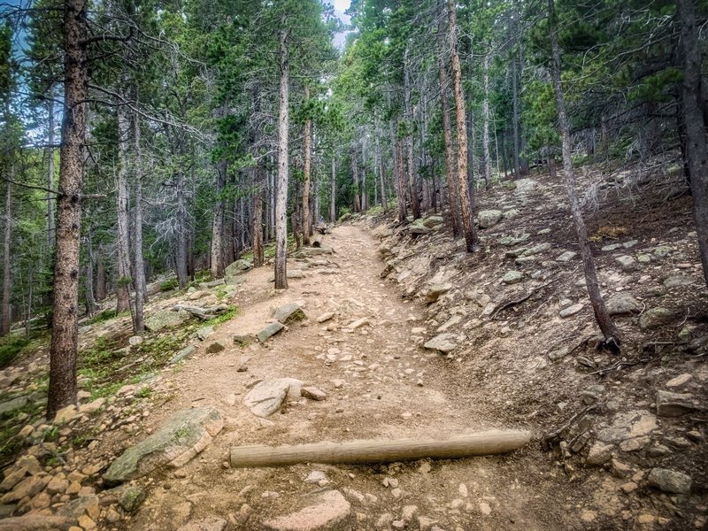 Longs Peak Trail.