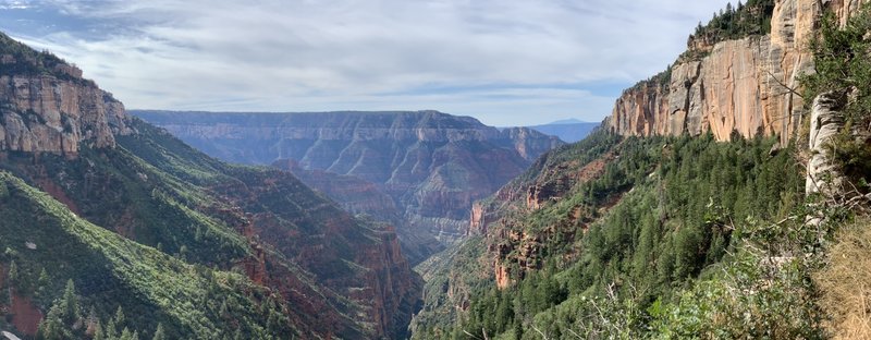 Headed down North Kaibab