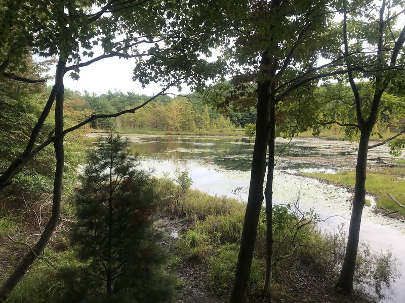 Quick day out to Lost Lake on the cross country skiing trails.