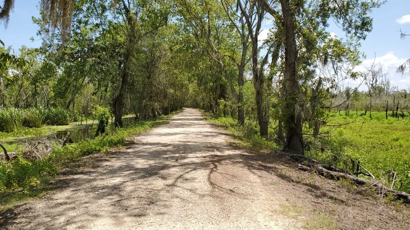 Hiking the trail