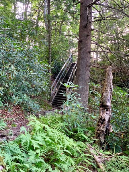 Stairway about the midpoint of the trail.