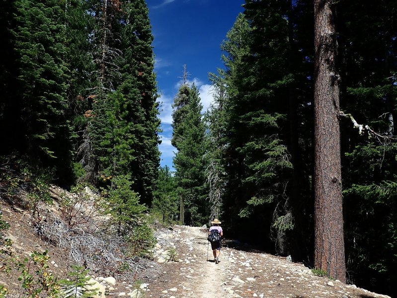 On the old road that is now part of the Duck Lake Trail.