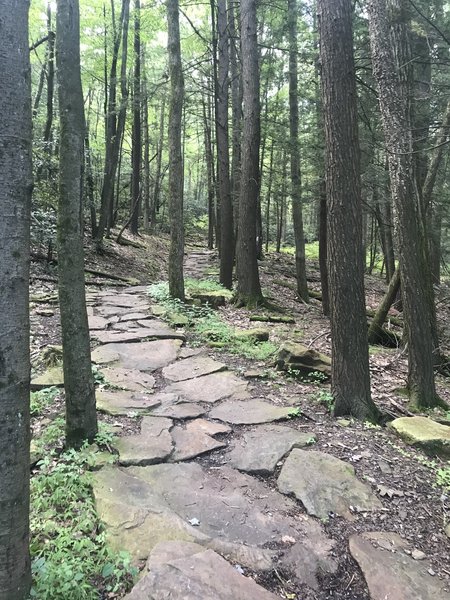 Rock steps as you climb up.