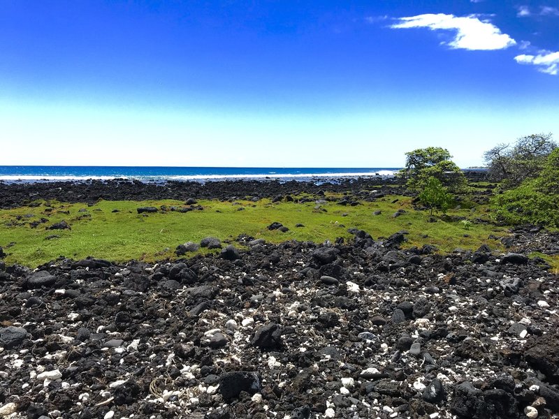 The trail winds along the coast. Intermixed with the black igneous rocks are bleached coral skeletons.