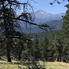 Long's Peak viewed through the remains of a tree.