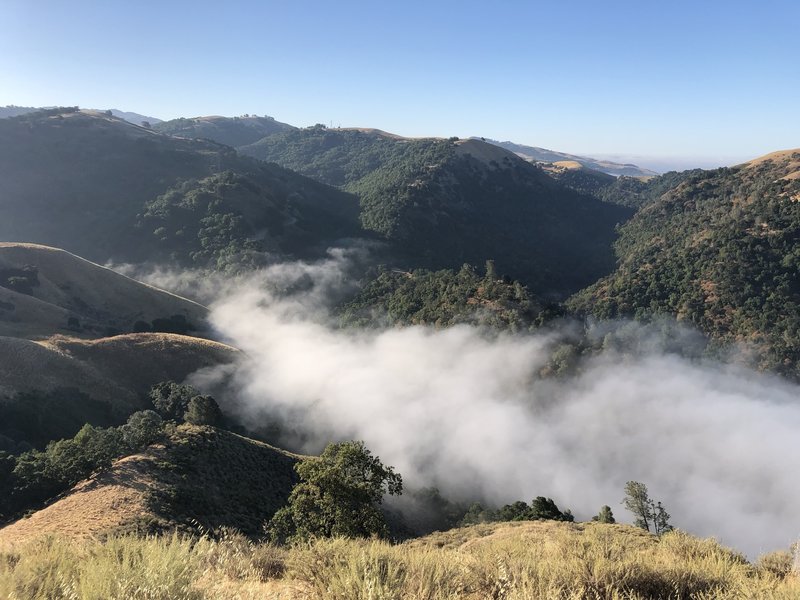 Sierra Vista Trail