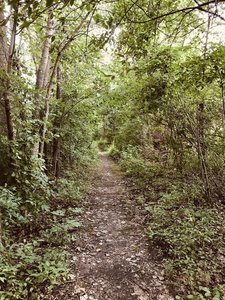 Trail 7