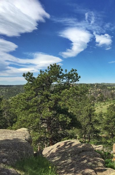 A perfect day at Curt Gowdy.