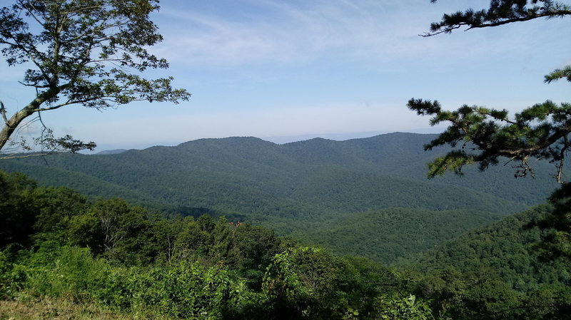 Big Run Hollow from Skyline Drive.