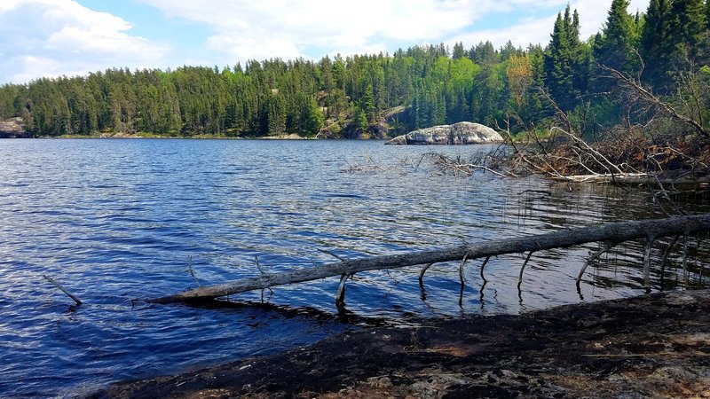 View from Peary Lake.