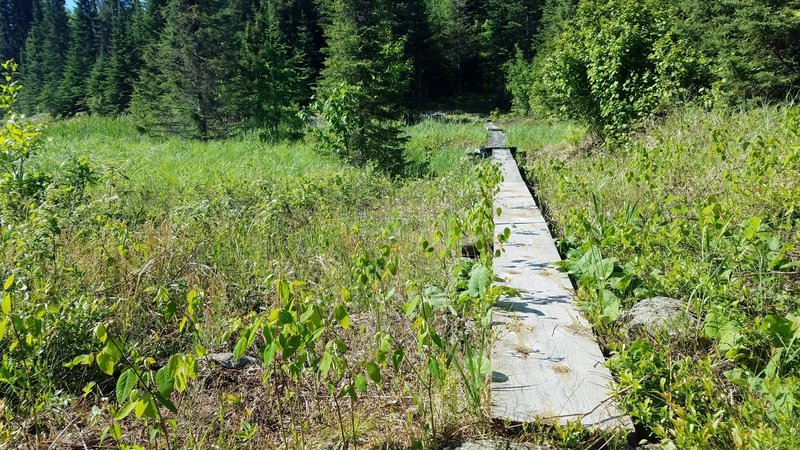 Bridge across pond.