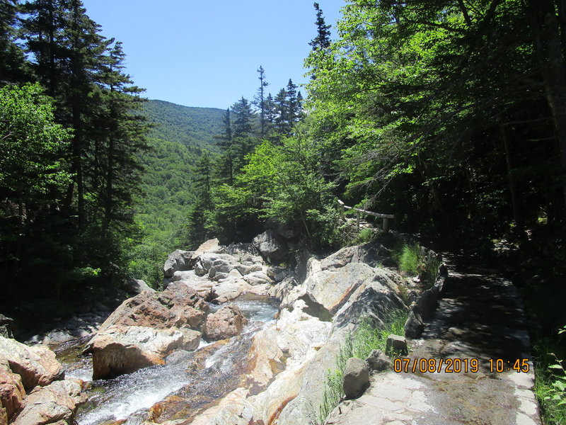 Along the Glen Ellis Falls trail.