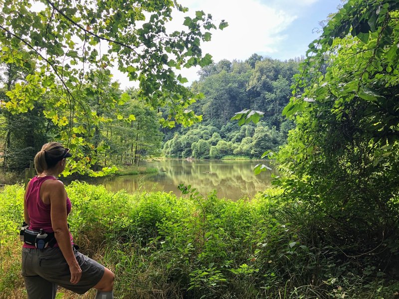 Wilderness Lake at end of trail.