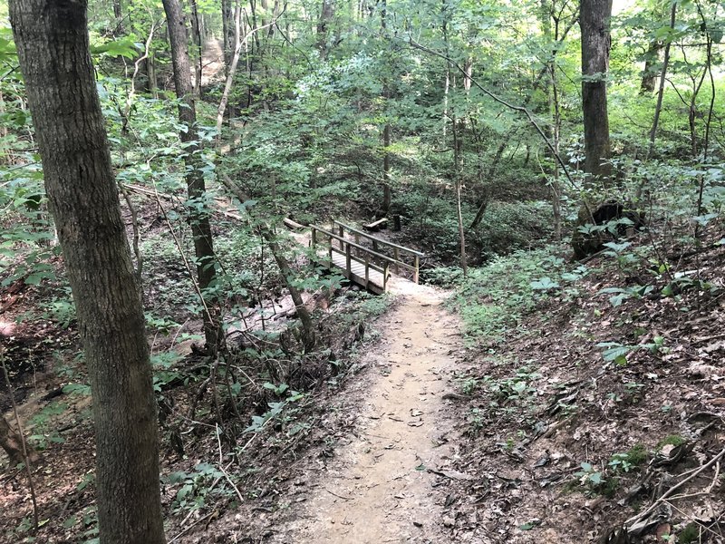 A bridge crossing over a gully.