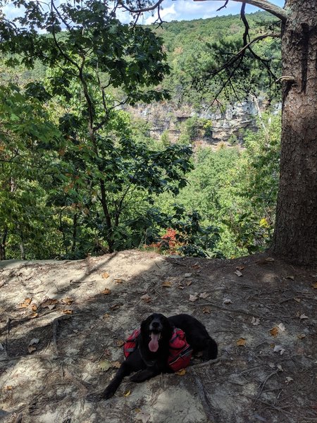 Views of the gorge pop up at several spots along the trail.