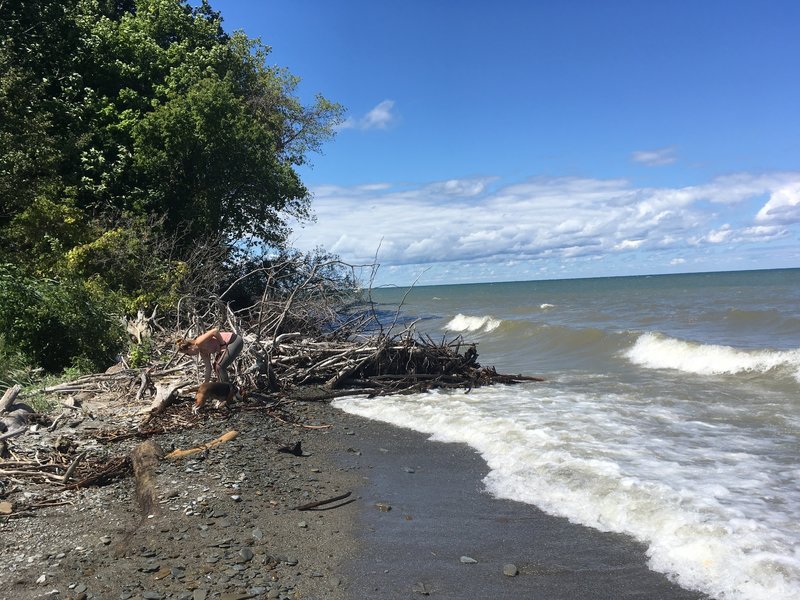 Beach area.