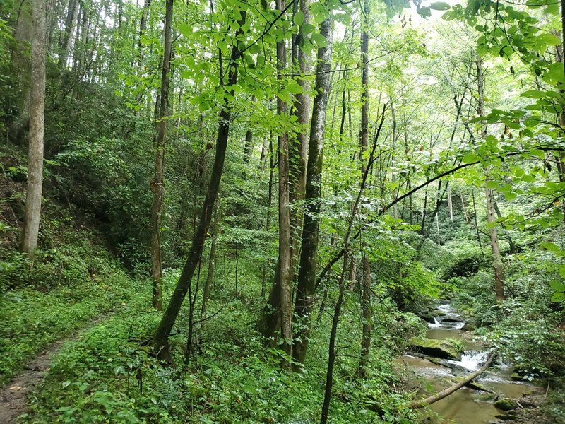 Mountaintown Creek and Trail.