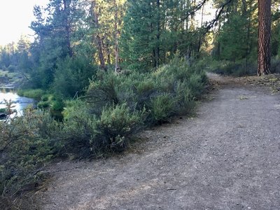 Near the river.