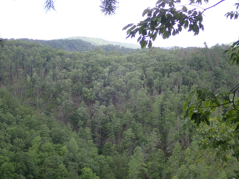 Walked down a small offshoot and found this great lookout point overlooking the valley.