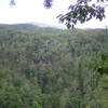 Walked down a small offshoot and found this great lookout point overlooking the valley.