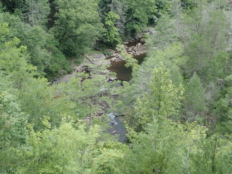 Overlooking Jacks River from short shoot-off of the Beach Bottom Trail.