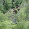 Overlooking Jacks River from short shoot-off of the Beach Bottom Trail.