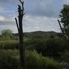 View over the Housatonic River.