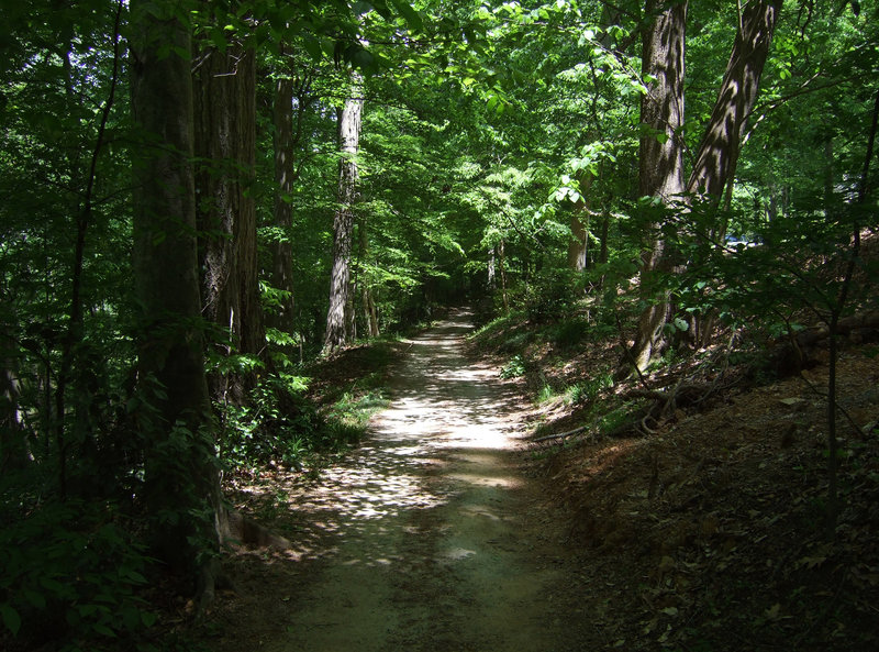 Jemison Park Trail in Mountain Brook, Alabama