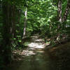 Jemison Park Trail in Mountain Brook, Alabama