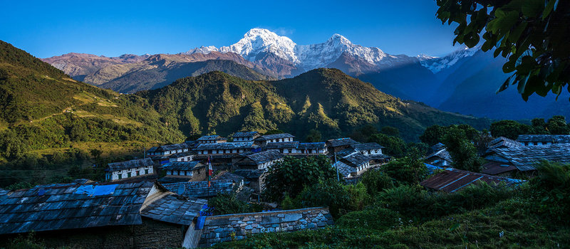 Ghorepani Poon hill trek.