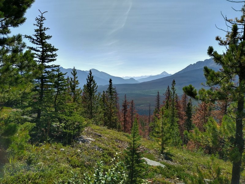 Mountain ranges as far as the eye can see, to the south, from Devona Lookout. Pyramid Mountain is in the distance, center right.