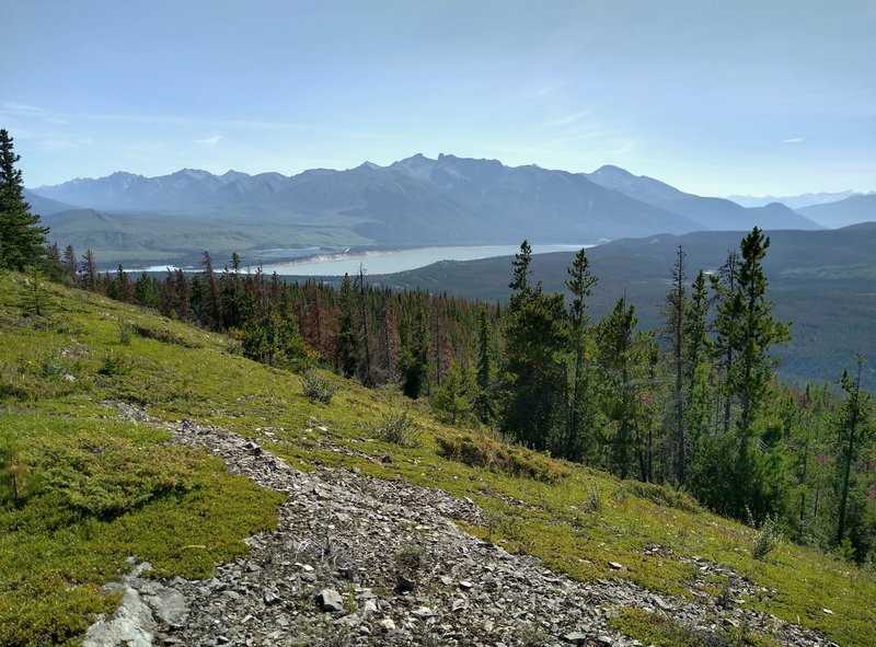 The broad Athabasca River in the distance, below mountains of the Jaques Range is seen to the south-southeast from Devona Lookout.