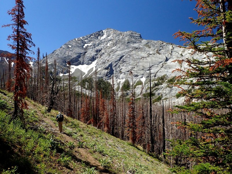 The north ridge of Sacajawea Peak from high on the Thorp Creek Trail.
