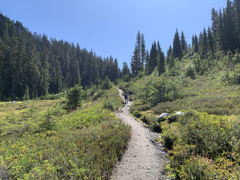 This is looking up through the first valley.