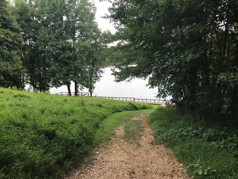 Looking down the hill towards the lake.