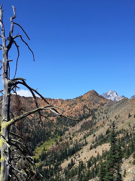 Looking across the Bean Creek basin, with Mt. Stuart behind Bean Peak.