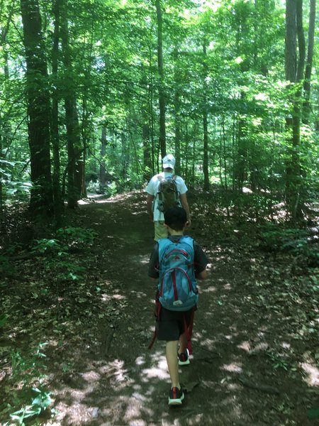 The kids enjoyed this trail as well.