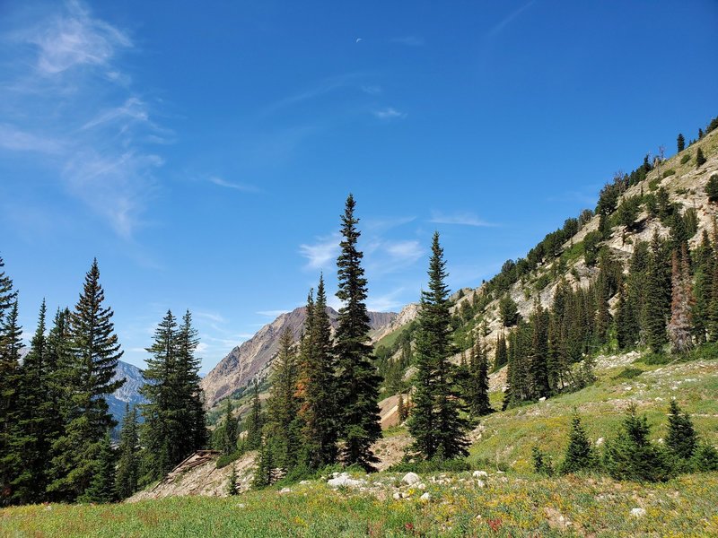 Mountain scene.