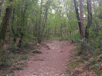 Trail surface becomes slabby rock ledges