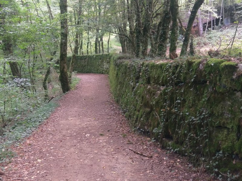 Beautiful moss-covered stone wall