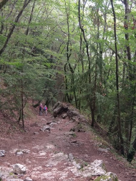 Descending from the viewpoint and waterfall