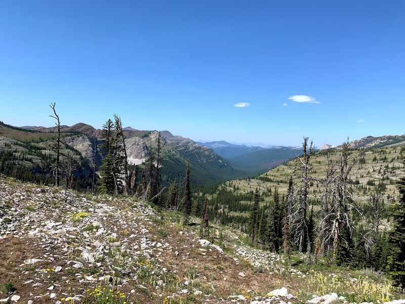 Trail 173 looking down Dolly Varden drainage