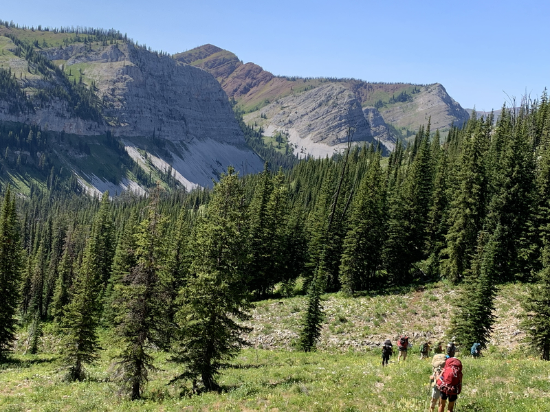 Trail 173 down into the Dolly Varden Drainage