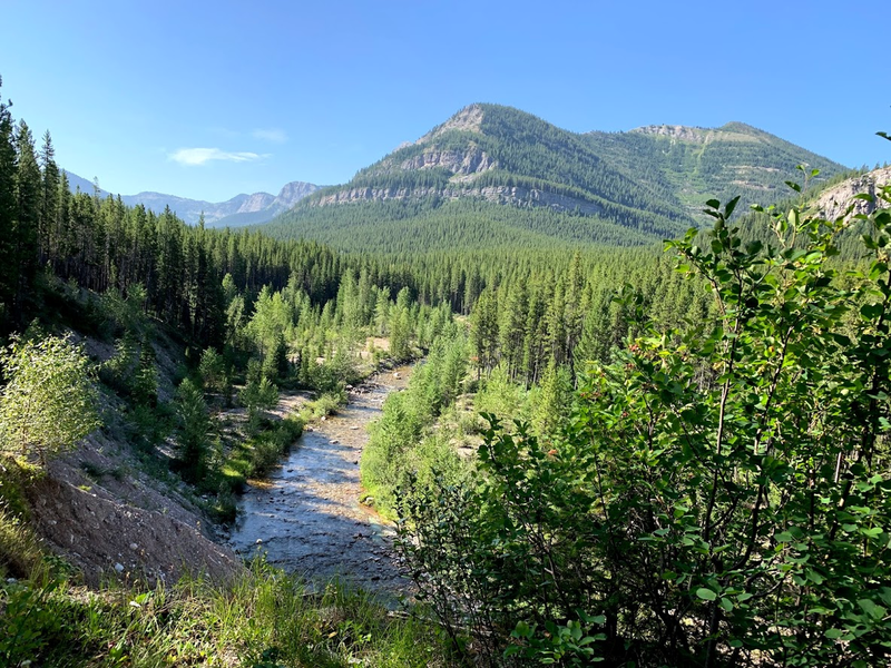 Dolly Varden Creek