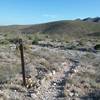 Looking NE on the trail.