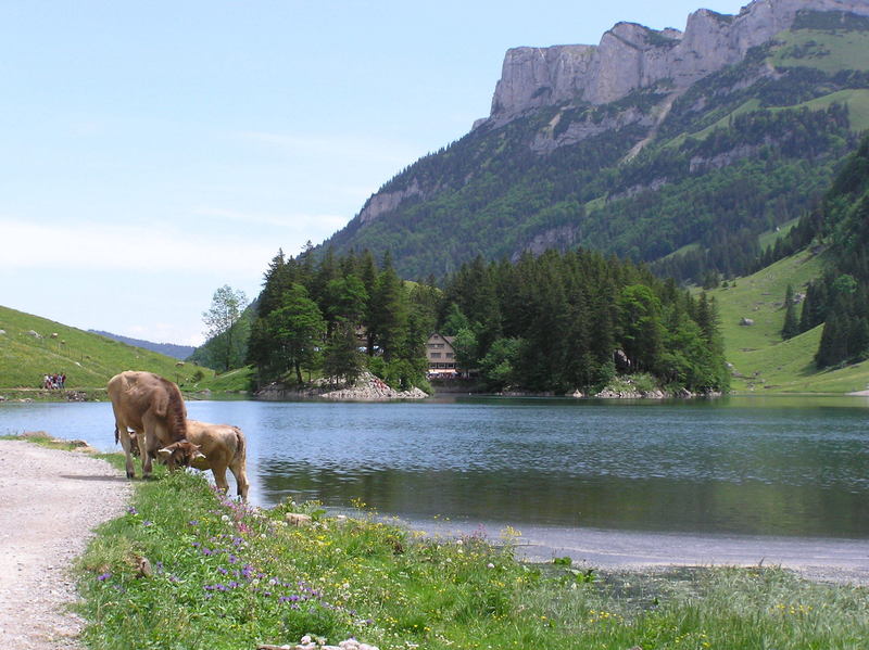 Seealpsee - view towards the two restaurants.