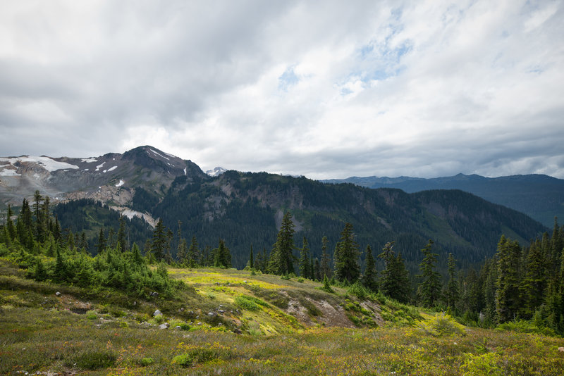 Alpine goodness.