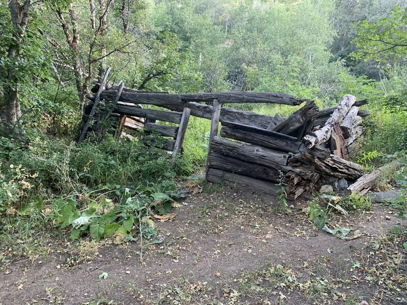 Cabin on the Kenny Creek Trail